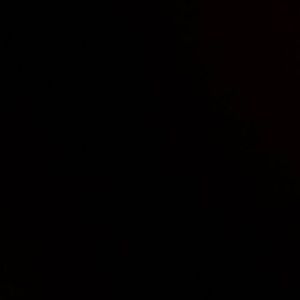 Meet your Posher, Lia